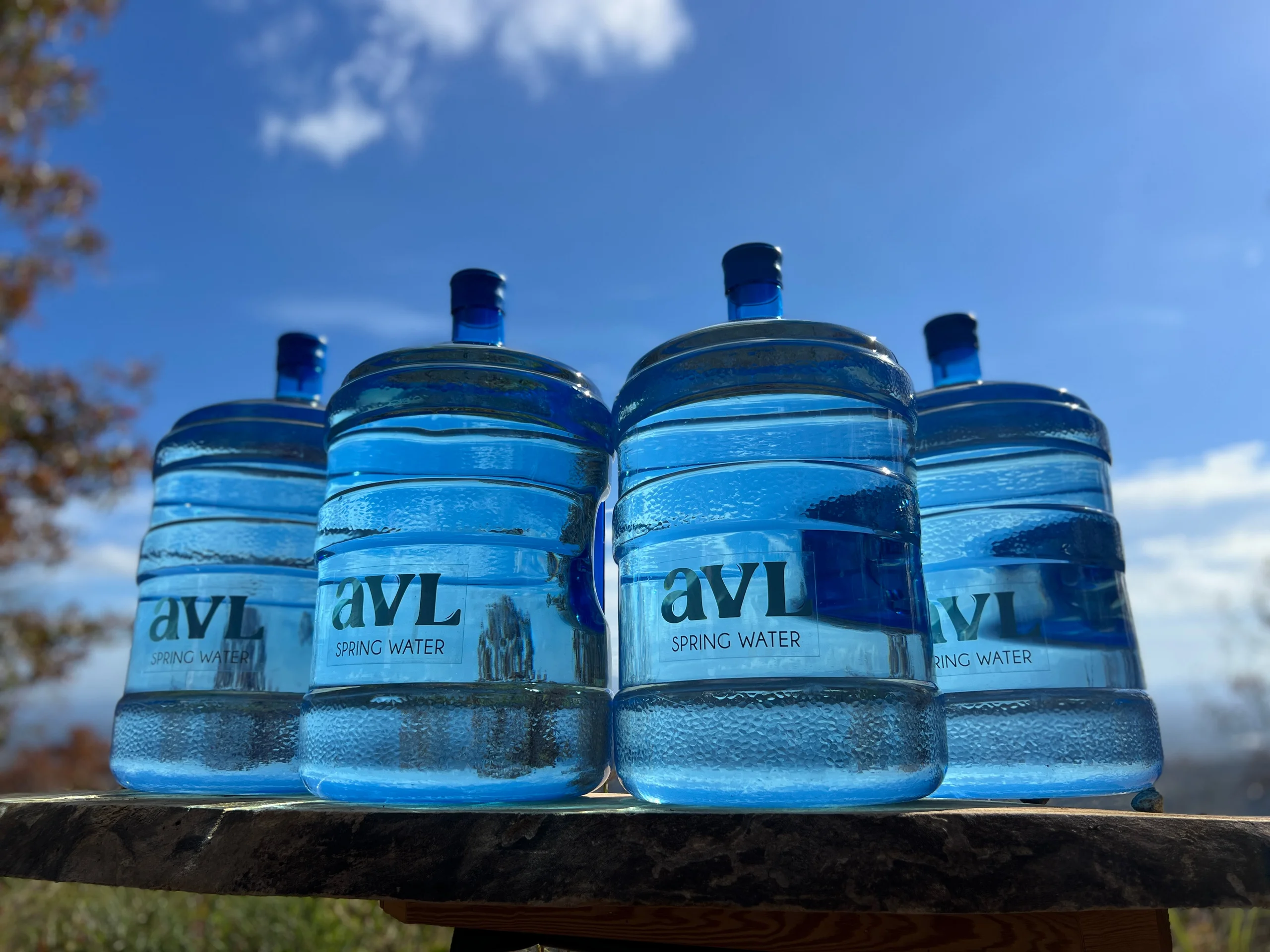 AVL Spring Water Bottle